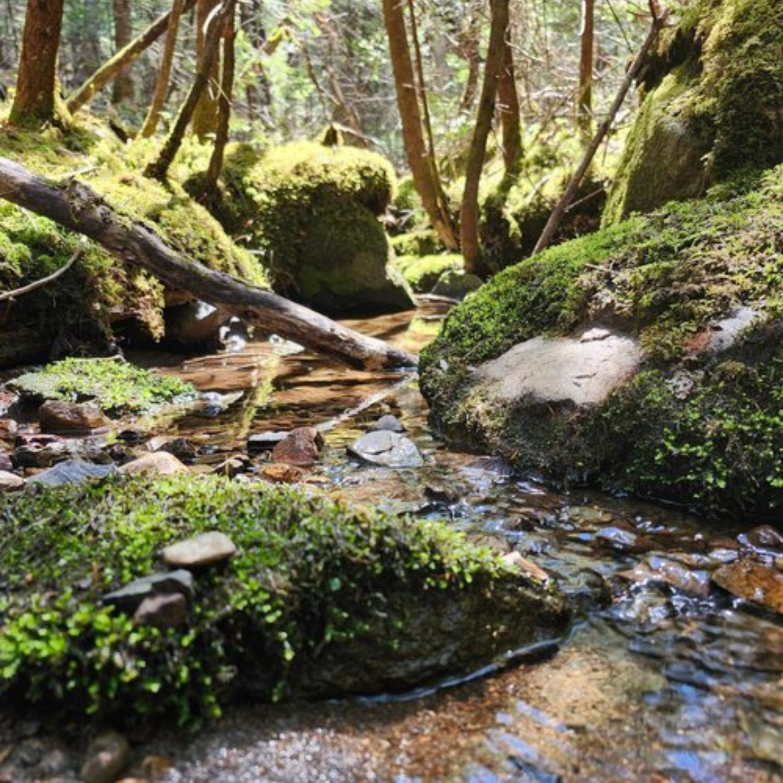 Volunteer Water Quality Monitoring Field Training Part 2